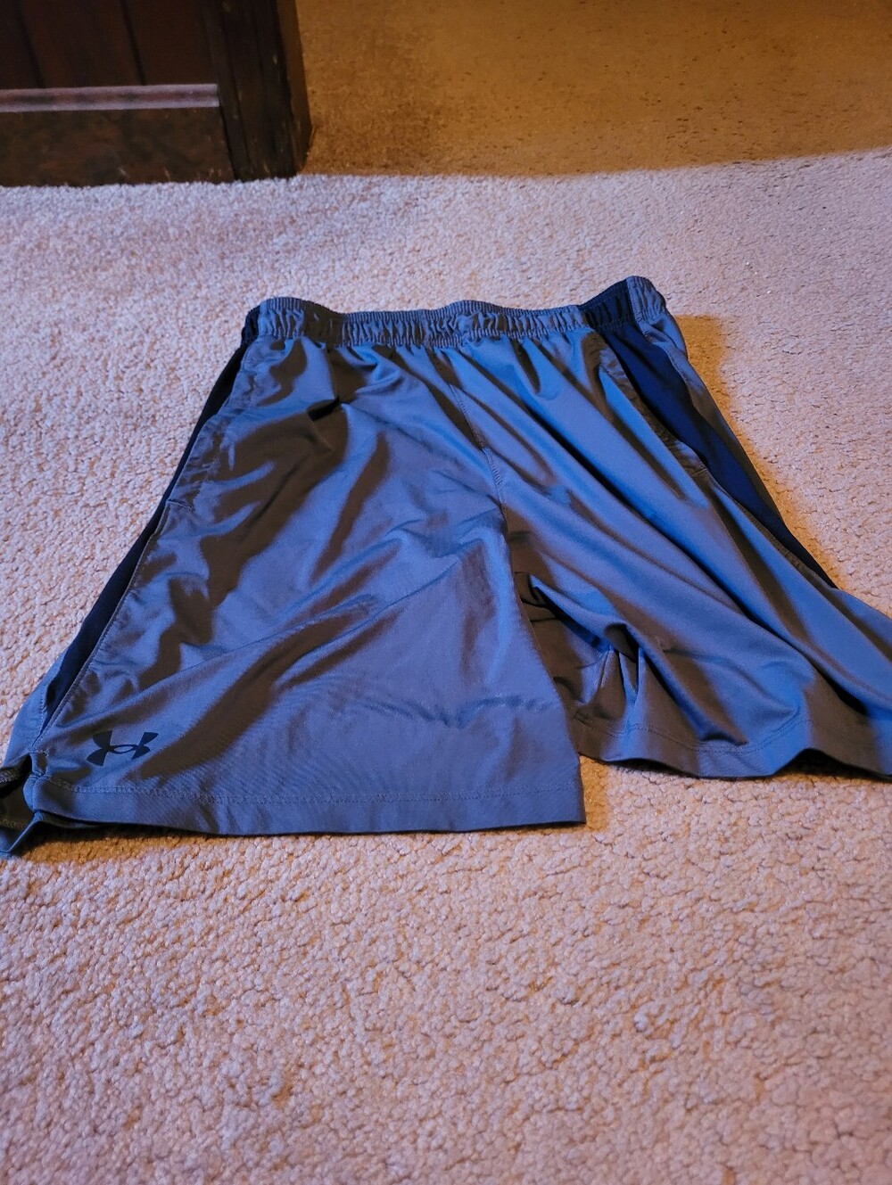 Under Armour shorts